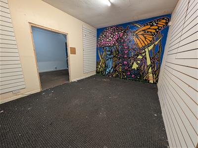 Picture 5